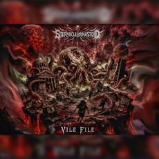 Vile File mp3 Album by Sternocleidomastoid