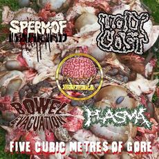 Five Cubic Metres Of Gore mp3 Album by Plasma