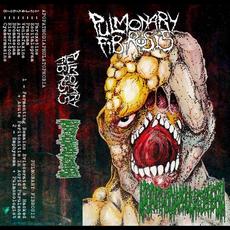 Pulmonary Fibrosis & Apopathodiaphulatophobia mp3 Album by Pulmonary Fibrosis