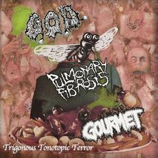 Trigonous Tonotopic Terror mp3 Album by Pulmonary Fibrosis