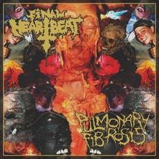 Final Heartbeat & Pulmonary Fibrosis mp3 Album by Pulmonary Fibrosis