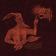 Hermetic Vibrations of the Cosmos: A Void's Strain mp3 Album by Regent Death