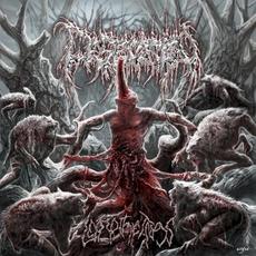 Left to the Trogs mp3 Album by Desecation