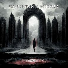 Why Won't You mp3 Single by Caught In A Mirror