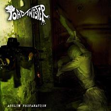Asylum Profanation mp3 Album by Toad Twister