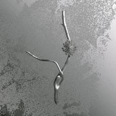 La Maccaia mp3 Album by Gaia Banfi