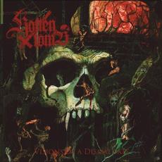 Visions Of Dismal Fate mp3 Album by Rotten Tomb