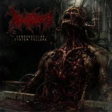 Xenovascular System Failure mp3 Album by Hematology