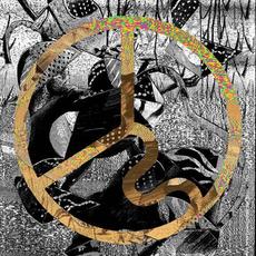 Revisions mp3 Album by Icky Blossoms