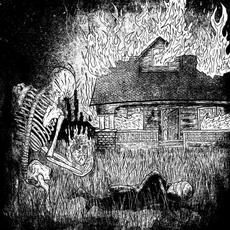 Where the Heart Belongs (Instrumental) mp3 Album by Softspoken