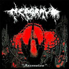 Ascension mp3 Album by Nedgravd