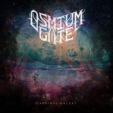 Cannibal Galaxy mp3 Album by Osmium Gate