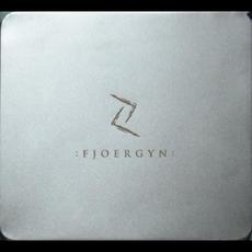 Jahreszeiten mp3 Album by Fjoergyn