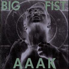 Big Fist mp3 Album by AAAK