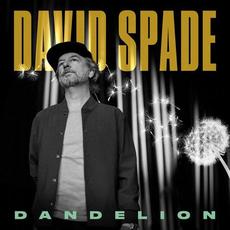 Dandelion mp3 Album by David Spade