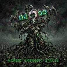 Morbid Entropic Spaces mp3 Album by Mood:Doom