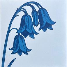 This Is...The Bluebells mp3 Album by The Bluebells