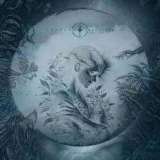 Beyond the Scars mp3 Album by Through The Fractures