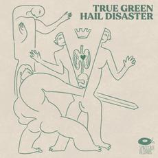 Hail Disaster mp3 Album by True Green