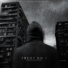 In den Tiefen der Leere mp3 Album by Trust No.1