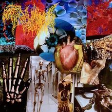 Harvest Of The Killing Fields mp3 Album by Trichomoniasis