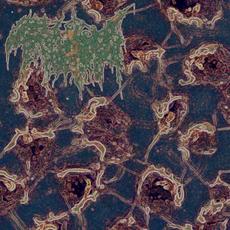 Terminal Inversion mp3 Album by Trichomoniasis