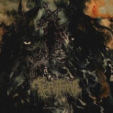 Longing Voracity mp3 Album by Teratoma