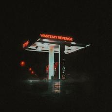 Waste My Revenge mp3 Album by The Thing With Feathers