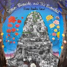 Forest Mountain Forest mp3 Album by Simon Bromide