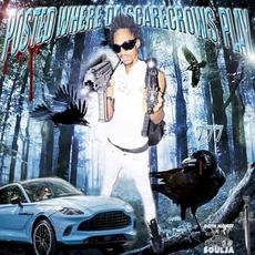 Posted Where the Scarecrows Play mp3 Album by SICKBOYRARI