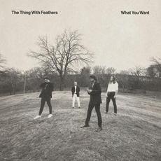 What You Want mp3 Single by The Thing With Feathers