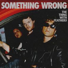 Something Wrong mp3 Single by The Thing With Feathers