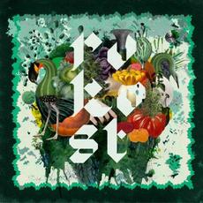 Rokost mp3 Album by Rokost