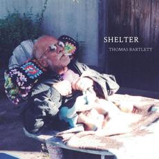 Shelter mp3 Album by Thomas Bartlett