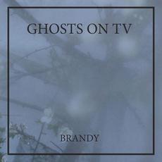 Brandy mp3 Single by Ghosts On TV