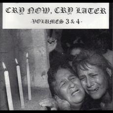 Cry Now, Cry Later Volumes 3 & 4 mp3 Compilation by Various Artists