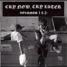 Cry Now, Cry Later Volumes 1 & 2 mp3 Compilation by Various Artists