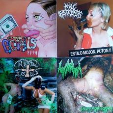 4-Way mp3 Album by Anal Fistfuckers