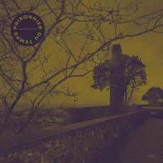 Comme un lion en cage mp3 Album by Prisonnier du Temps