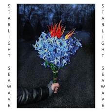 Starlight Seawave mp3 Single by Prince of Assyria