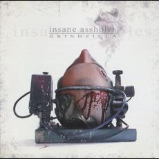 Grindzilla mp3 Album by Insane Assholes