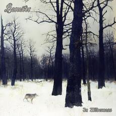 In Wilderness mp3 Album by Hermóðr