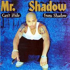 Can't Hide From the Shadow mp3 Album by Mr. Shadow