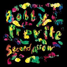 Second Arrow mp3 Album by Bobby Previte
