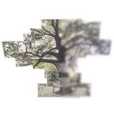 DIVERGE (Instrumentals and A Cappellas) mp3 Album by OHKAYA