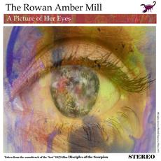 A Picture of Her Eyes mp3 Single by The Rowan Amber Mill
