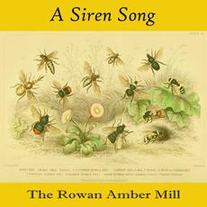 A Siren Song mp3 Single by The Rowan Amber Mill