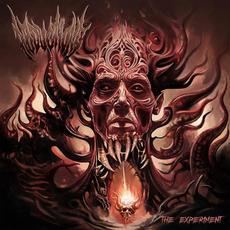 The Experiment mp3 Album by Abductions