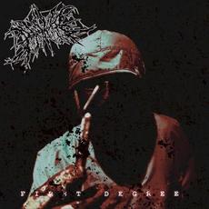 First Degree mp3 Album by Peacemaker FL