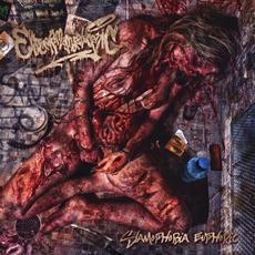 Slamophobia Euphoric mp3 Album by Evisceromamorphogenic